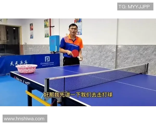 乒乓球个人能力排行榜揭晓北京乒乓球队荣登第七位引发关注