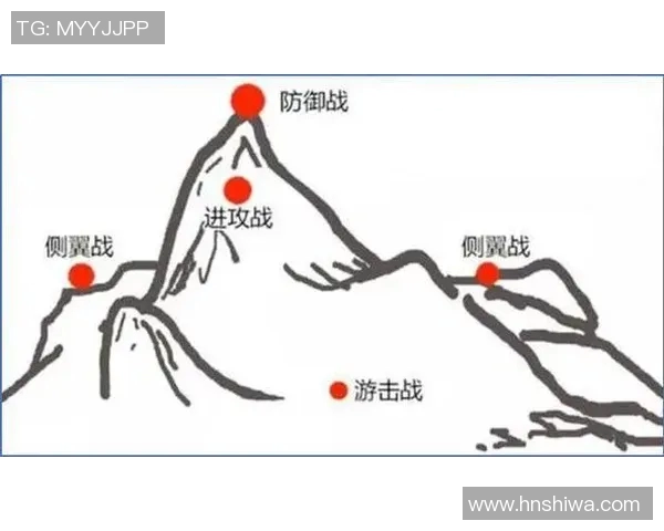 深入分析杭州网球队的进攻策略与战术特点探讨