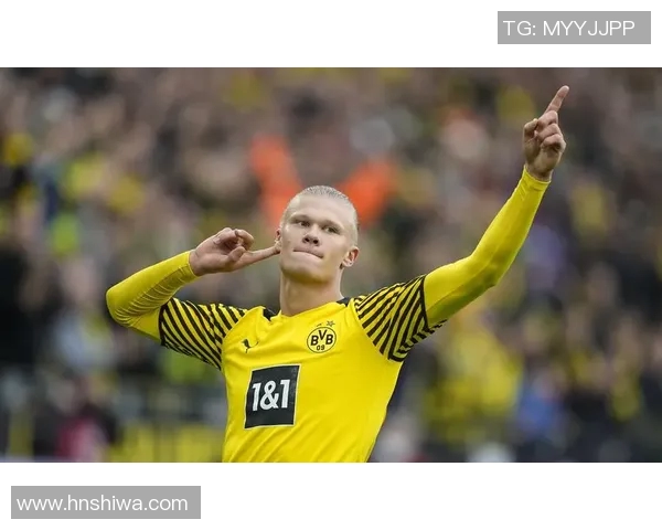 足球明星们热议哈兰德的天赋与未来发展潜力 足球明星们热议哈兰德的天赋与未来发展潜力