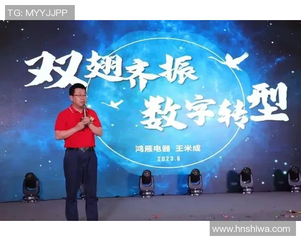 北京篮球队转型之路探索新机遇与挑战的深度分析与展望 北京篮球队转型之路探索新机遇与挑战的深度分析与展望