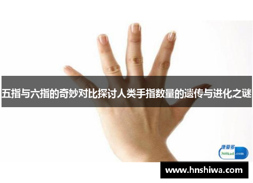 五指与六指的奇妙对比探讨人类手指数量的遗传与进化之谜